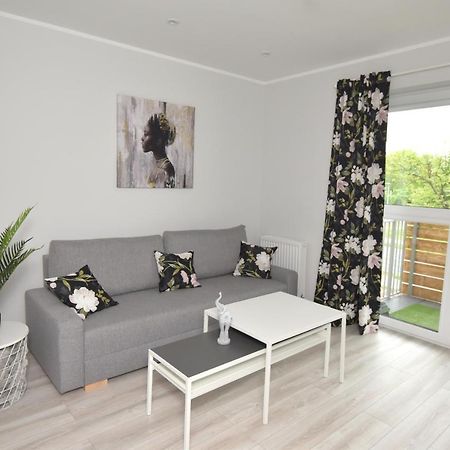 Dreamer Apartment Торунь Экстерьер фото