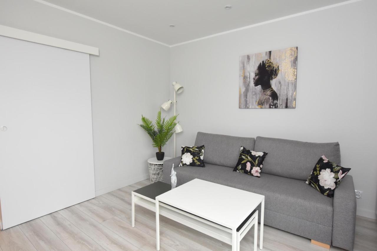 Dreamer Apartment Торунь Экстерьер фото