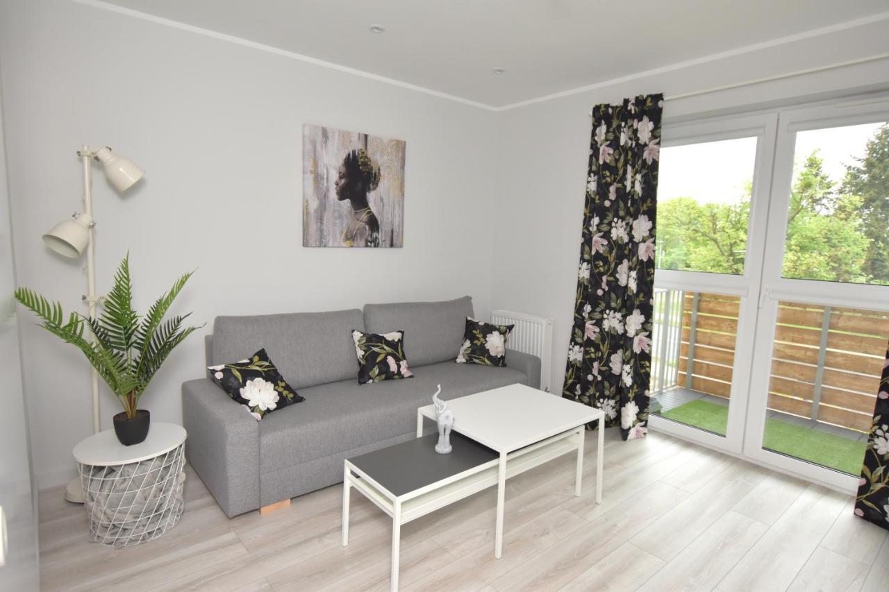 Dreamer Apartment Торунь Экстерьер фото